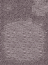 XPTreeCaveAvery (3).png