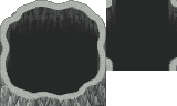 XPRTPCaveAddonAvery (8).png