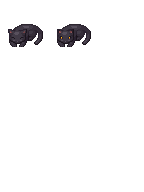 $CatdownMZAvery.png