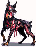 Avymationdog.gif