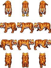 _$XPTiger.png