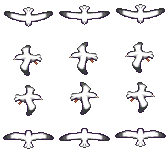 !$XPSeagull.png