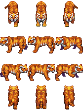!$XPTiger.png