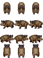 $XP_boar_Avery.png
