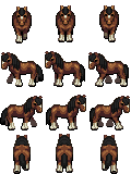 $AceAvery_Horse.png