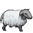 sheepnotwonky.gif