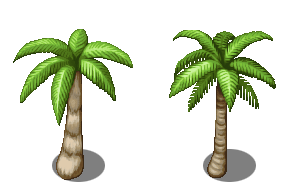 Palmtree.png