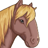 $AveryHorseface.png