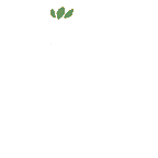 FG_AccB_pv01540_c2_m018.png