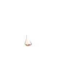FG_Nose_p25_c1_m001.png