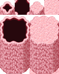 Fleshwallautotile_AveryXPMZ.png