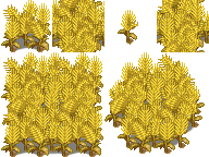 AveryGrainsMZ.png AveryGrainsMZ.png