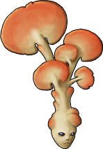 mushroom_17.png