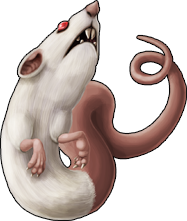 rat_11.png