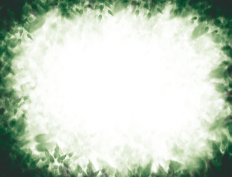 Forest.png