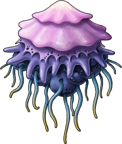 jellyfish_11.png
