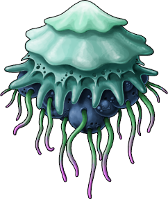 jellyfish_11a.png