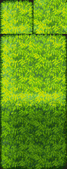 1684270988833.png