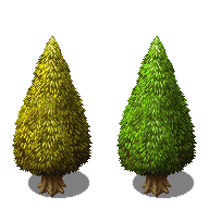 AverylargertreeMZ.png