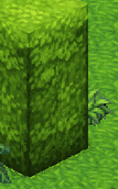 1684694796967.png
