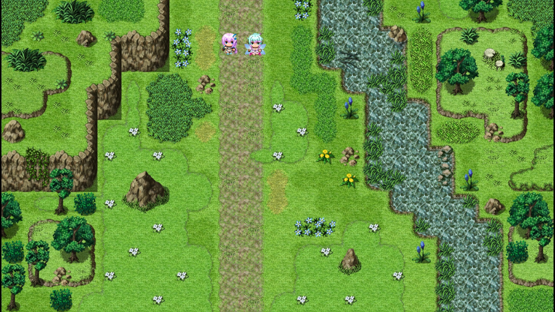 RMN_Field_JPEG.jpg