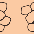 1685792272230.png