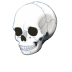 FG_Face_pv004041_c1_m001.png
