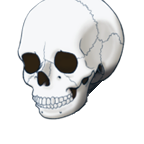 FG_Face_pz004041_c1_m001.png