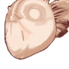 FG_Face_pv331010_c1_m001.png