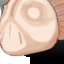 icon_Face_pv331020.png
