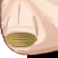 icon_Mouth_pv340011.png
