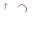 FG_Eyes_pv302010_c2.png