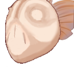 FG_Face_pv331010_c1_m001.png