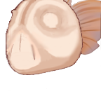 FG_Face_pv331020_c1_m001.png