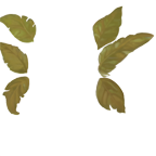 FG_AccB_pv700050_c3_m017.png