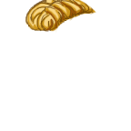FG_RearHair1_p500_c2_m003.png