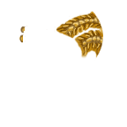 FG_RearHair2_p500_c1_m004.png