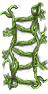 VineLadder_CCCreations.png