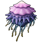 Jellyfish GIF.gif