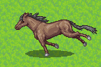 galloping-horse-ex1.gif