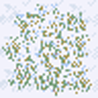 snowy_grass.png
