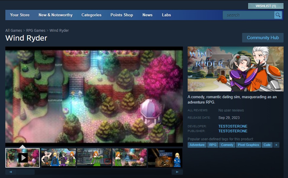 WindRyder_SteamStorePage.jpg