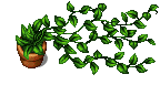 PlantiplantAveryMZ.png