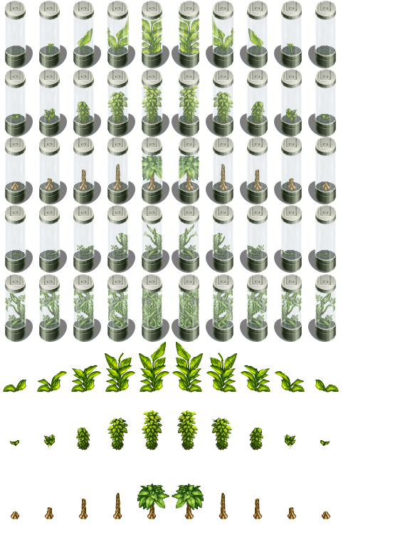 !plants_growing.png