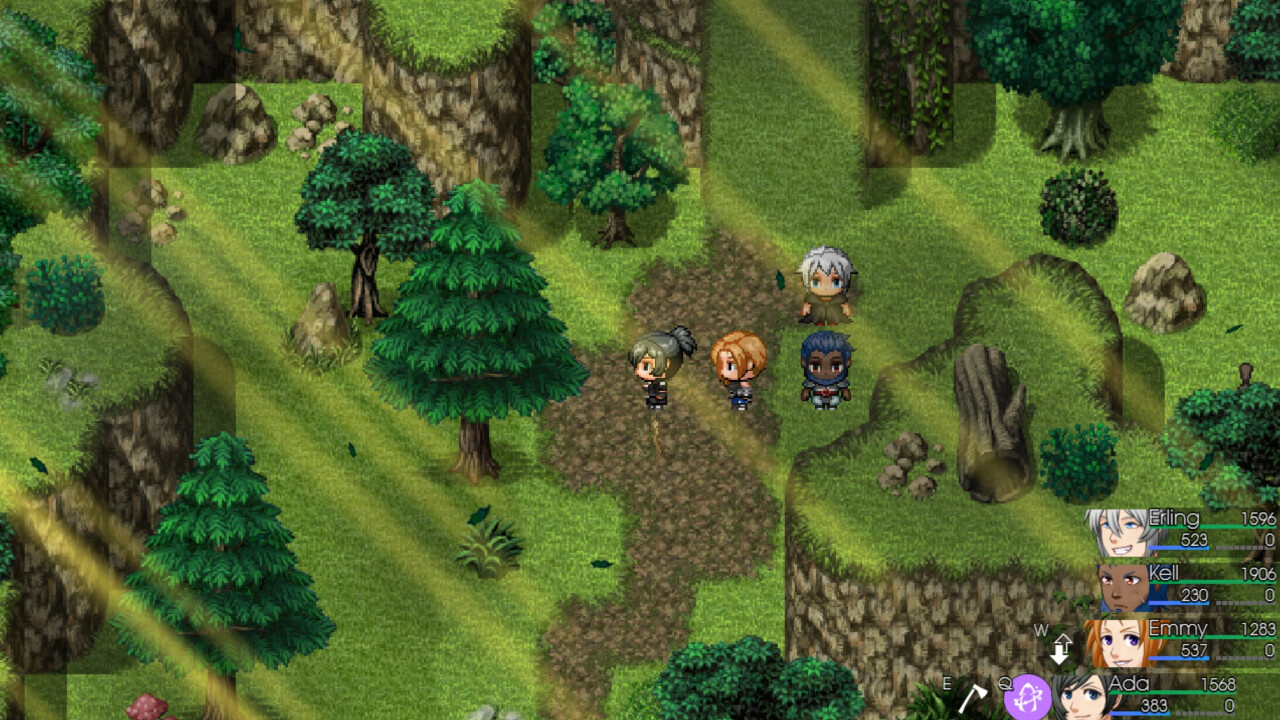 forest.jpg