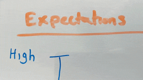 low-expectations-low.gif