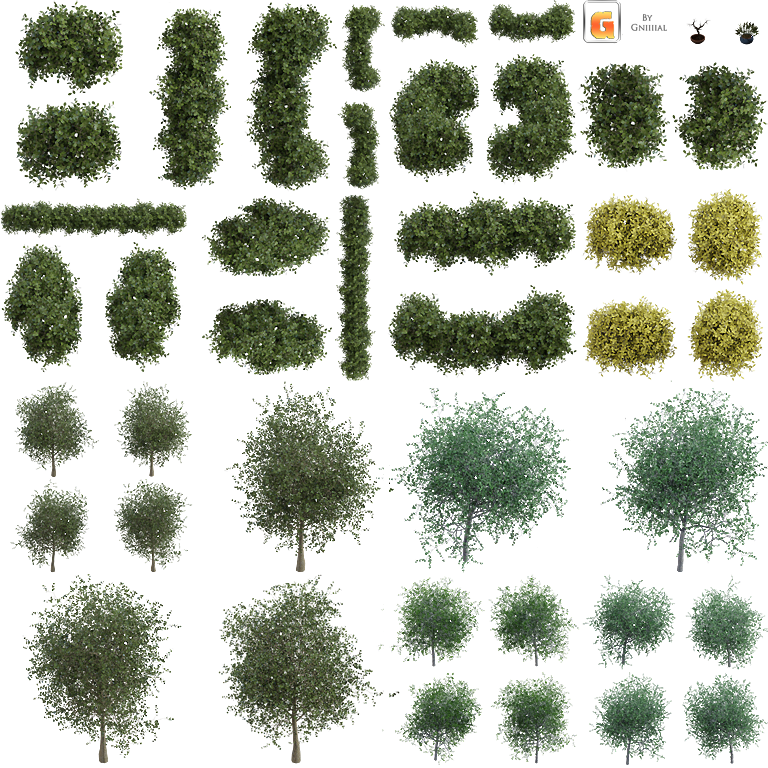 Naturals_01.png