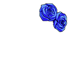 FG_AccB_p12_c1_m016.png
