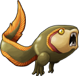 frog_17.png