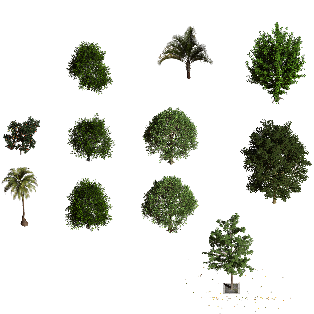 StreetTrees_05.png